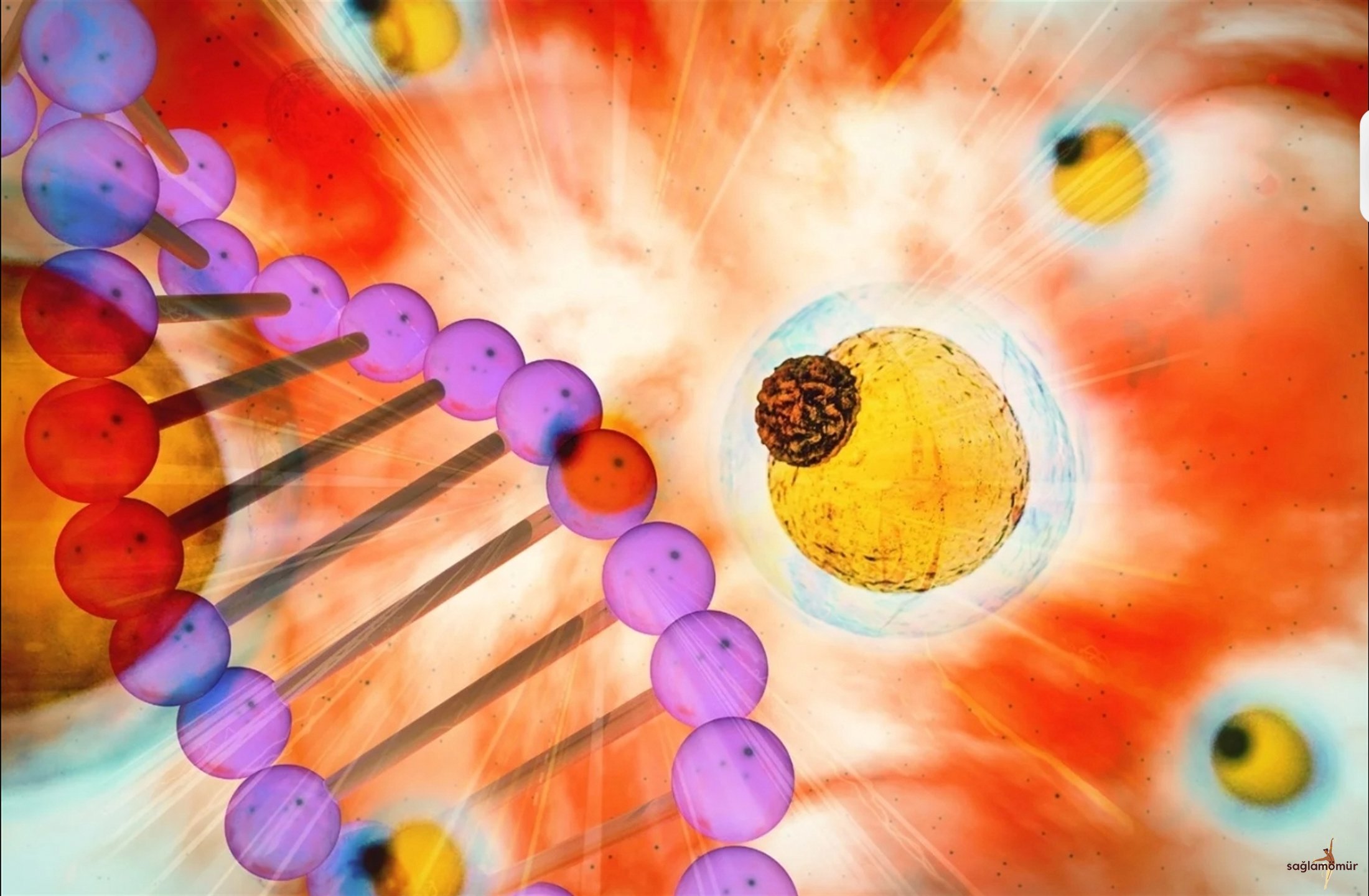 Dünyada piylənmə riskini müəyyən edən yeni sirlər